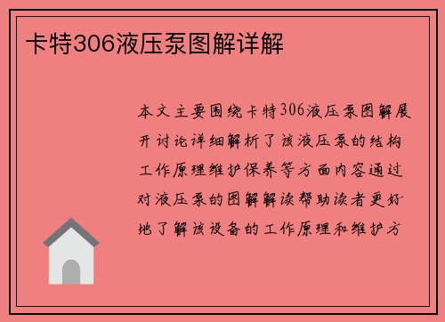 卡特306液压泵图解详解