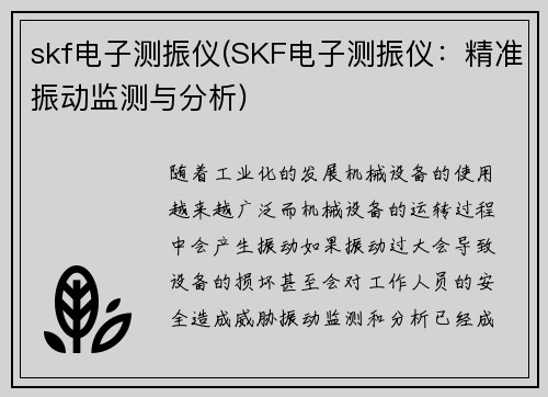 skf电子测振仪(SKF电子测振仪：精准振动监测与分析)