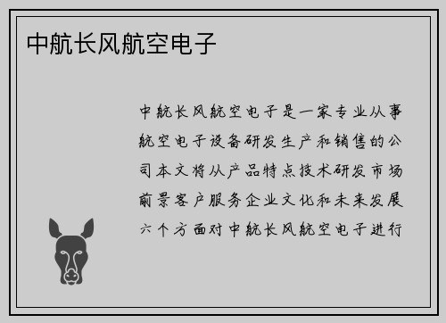 中航长风航空电子